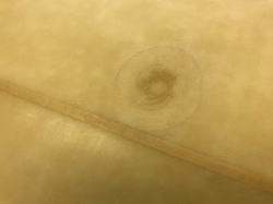 �I�[�o�[�z�[�� �X�L�b�v�t���C EGG 2_6